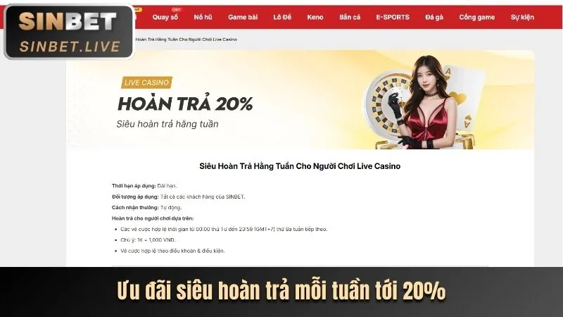 Chương trình hoàn trả và VIP 8dayvn win